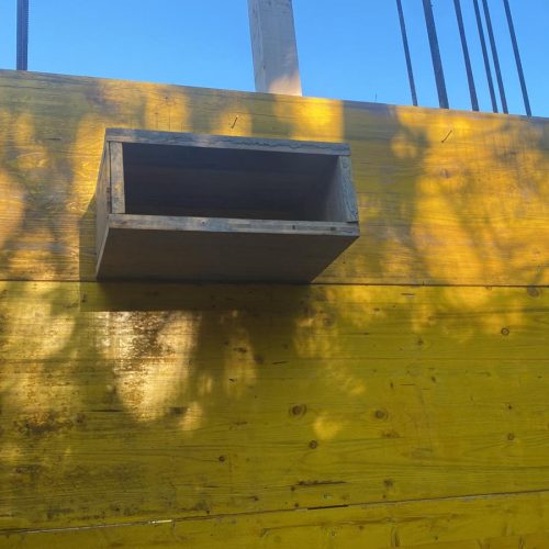 WhatsApp Image 2026-03-11 at 17.34.34 (1)