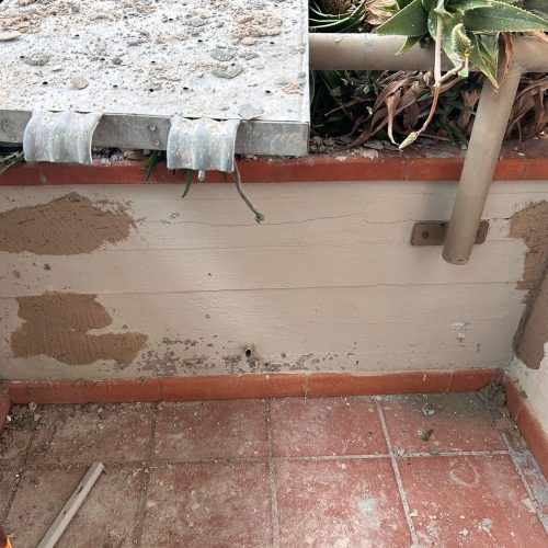 WhatsApp Image 2026-03-11 at 17.50.47