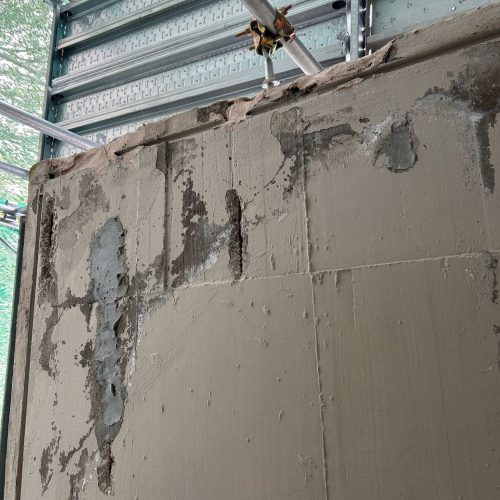 WhatsApp Image 2026-03-11 at 17.50.52