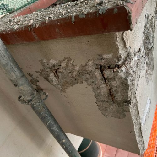 WhatsApp Image 2026-03-11 at 17.50.53 (1)