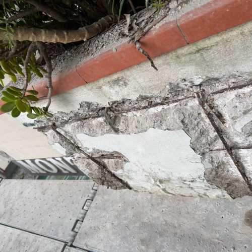 WhatsApp Image 2026-03-11 at 17.50.53