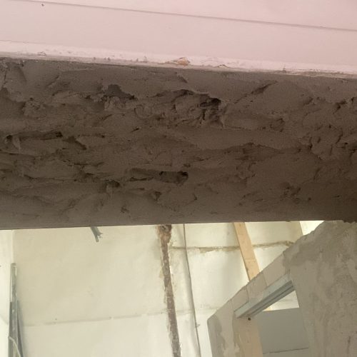 WhatsApp Image 2026-03-11 at 17.55.18 (1)