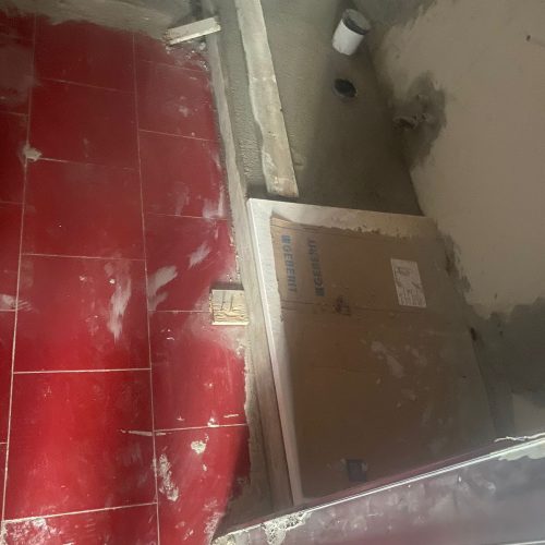 WhatsApp Image 2026-03-11 at 17.55.29